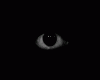 Benutzerbild von -s0nNy-