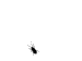 Benutzerbild von -nVIDIA- (OC)