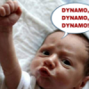 Benutzerbild von Dynamoking