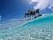 Benutzerbild von Surferboy Giova