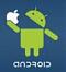 android31